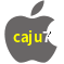 Aplicativo caju7 para iOS