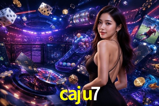 Security Systems caju7