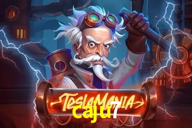 Design Responsivo caju7